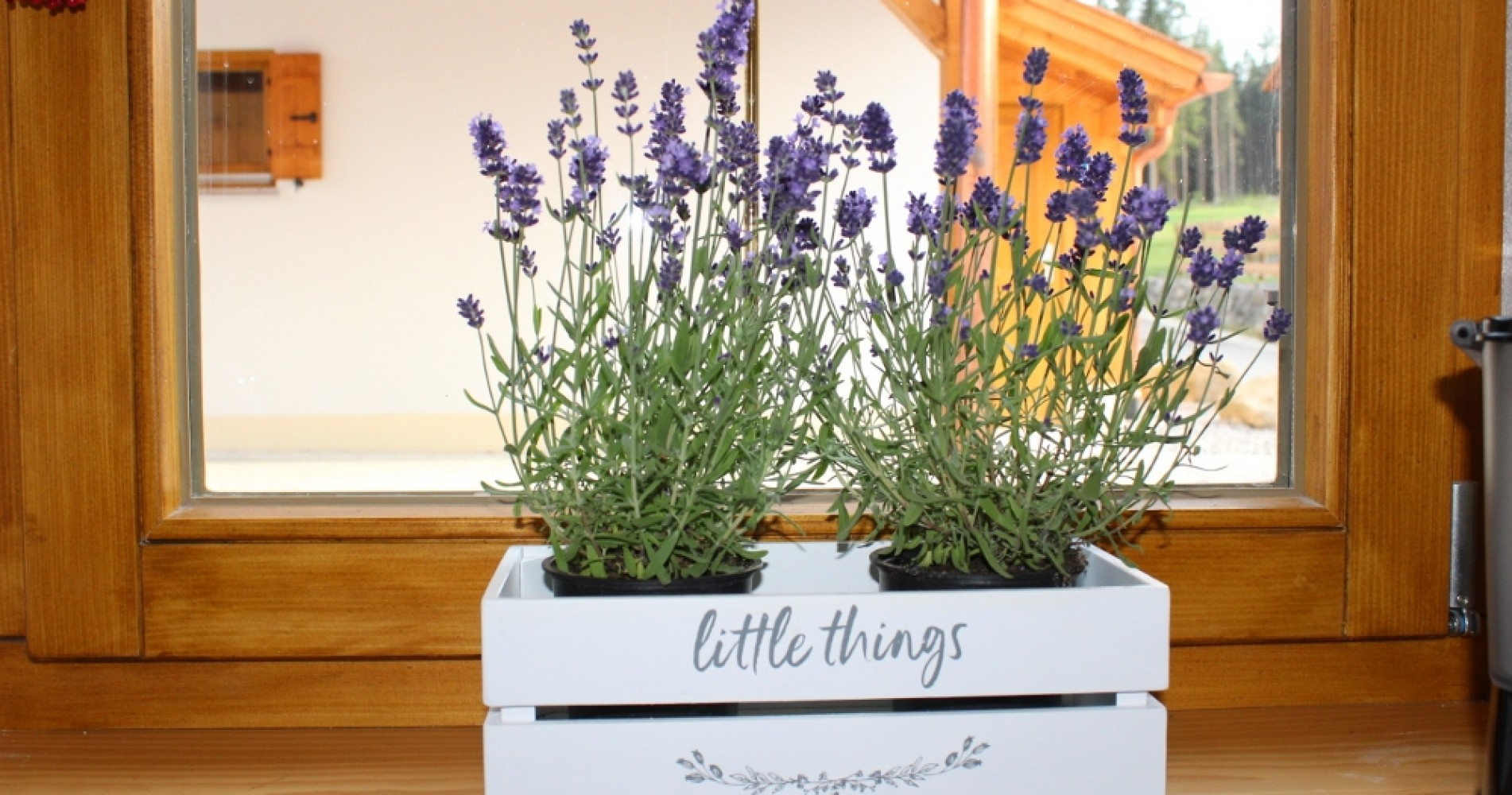 Ferienhaus in Bayern - Urlaub mit Hund